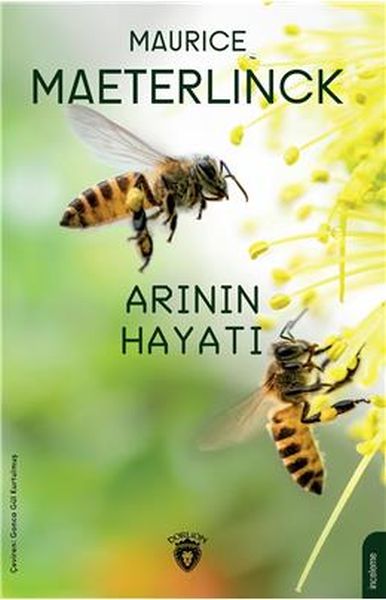 Arının Hayatı-zoom-