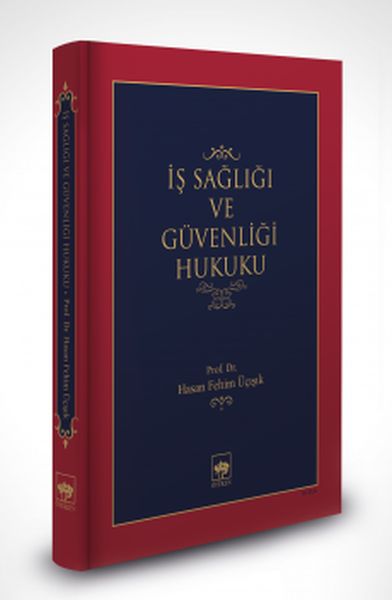 İş Sağlığı ve Güvenliği Hukuku (Ciltli)-zoom-