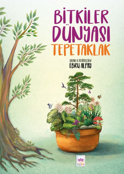 Bitkiler Dünyası Tepetaklak-zoom-