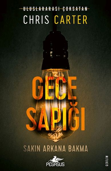 Gece Sapığı (Robert Hunter - 3)-zoom-