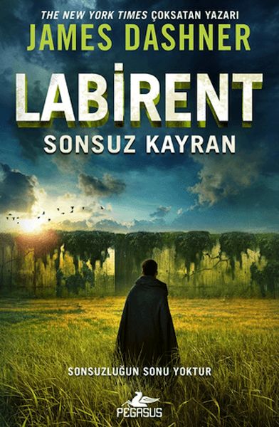 Labirent: Sonsuz Kayran-zoom-