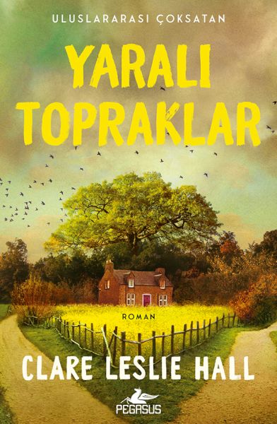 Yaralı Topraklar-zoom-