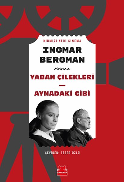 Yaban Çilekleri - Aynadaki Gibi-zoom-