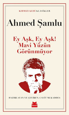 Ey Aşk, Ey Aşk! Mavi Yüzün Görünmüyor