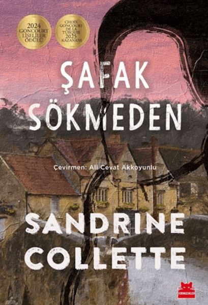 Şafak Sökmeden-zoom-