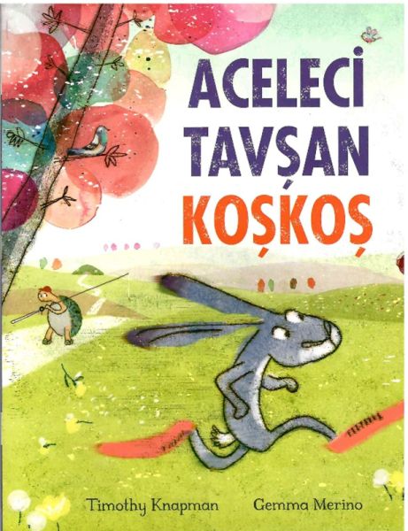 Aceleci Tavşan KoşKoş-zoom-