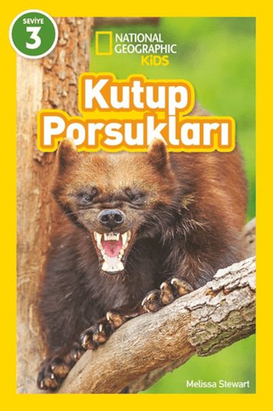 Kutup Porsukları - National Geographic Kids-zoom-