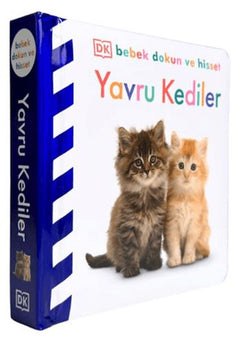 Bebek Dokun Ve Hisset - Yavru Kediler