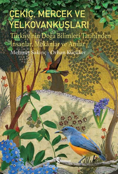 Çekiç, Mercek ve Yelkovankuşları-zoom-
