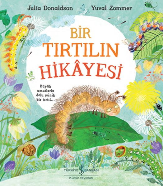 Bir Tırtılın Hikayesi-zoom-