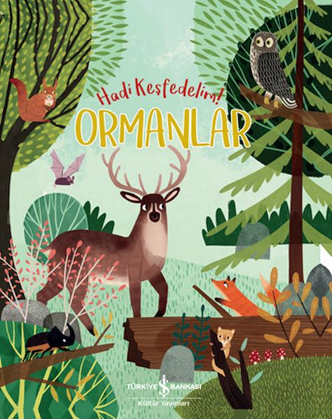 Ormanlar - Hadi Keşfedelim!-zoom-