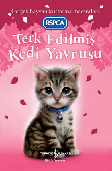 Terk Edilmiş Kedi Yavrusu-zoom-