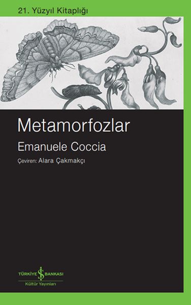 Metamorfozlar-zoom-