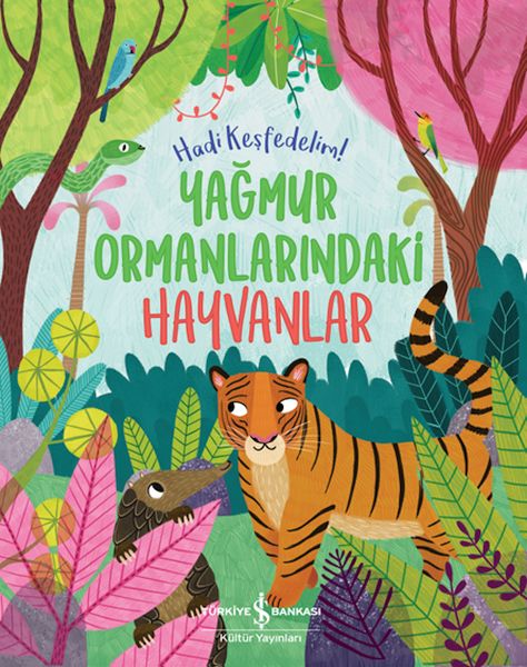 Yağmur Ormanlarındaki Hayvanlar – Hadi Keşfedelim!-zoom-