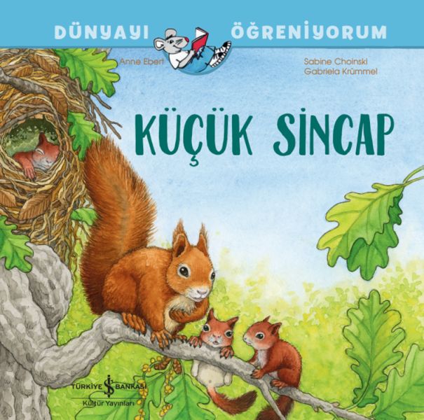 Küçük Sincap Dünyayı Öğreniyorum-zoom-