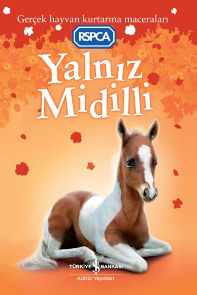 Yalnız Midilli-zoom-