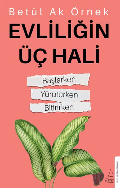 Evliliğin Üç Hali-zoom-