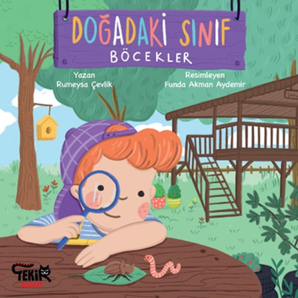Doğadaki Sınıf- Böcekler-zoom-
