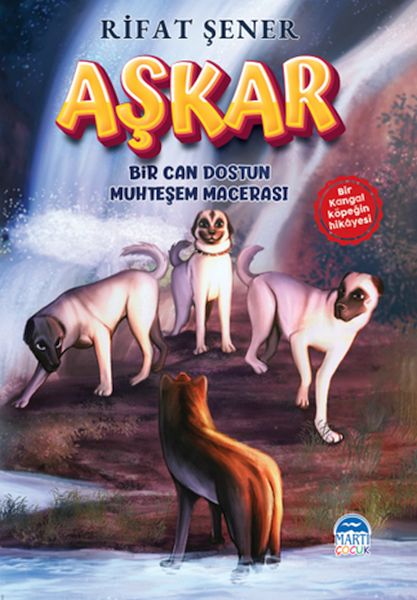 Aşkar-zoom-