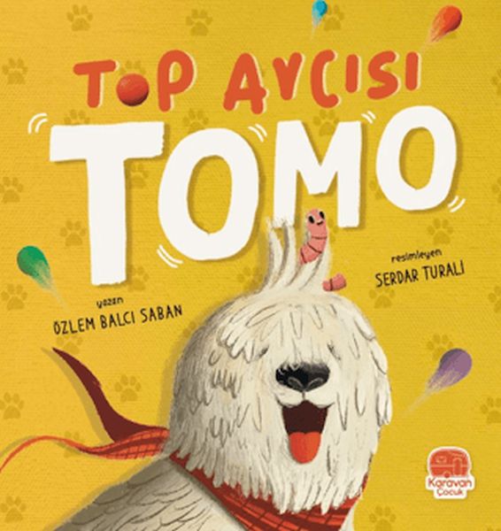 Top Avcısı Tomo-zoom-
