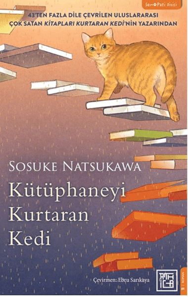 Kütüphaneyi Kurtaran Kedi-zoom-