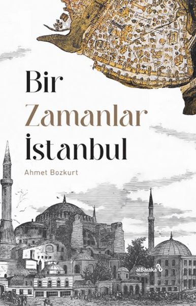 Renkli Taşlar