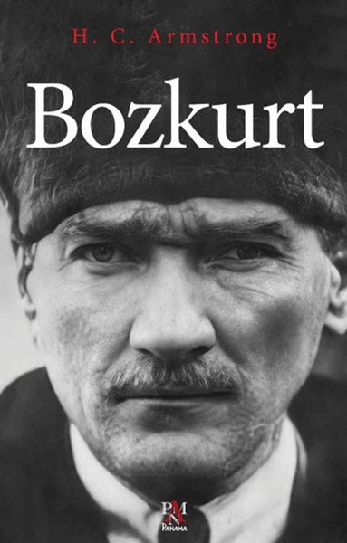 Bozkurt-zoom-