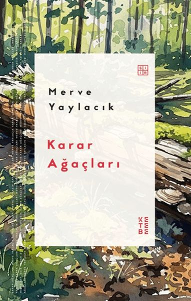 Karar Ağaçları-zoom-