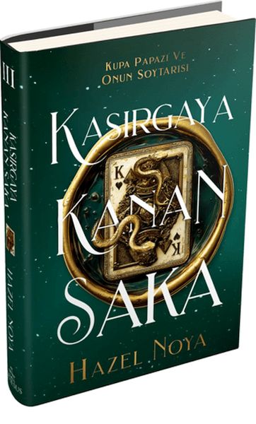 Kasırgaya Kanan Saka 3-zoom-