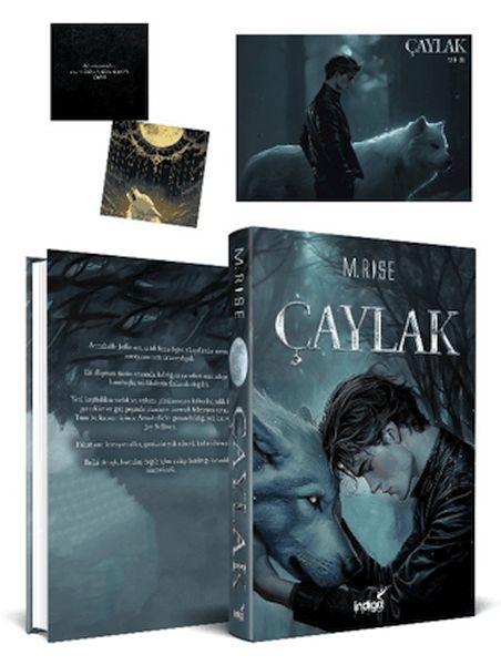 Çaylak-zoom-