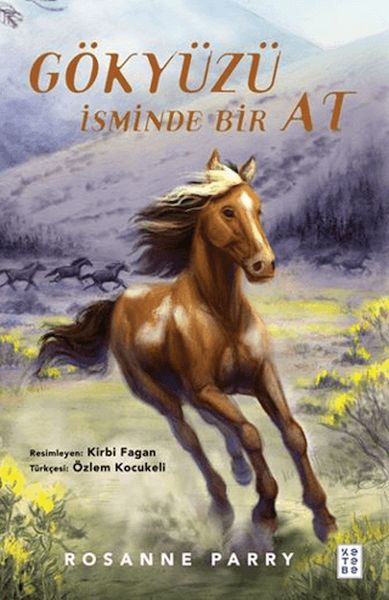 Gökyüzü İsminde Bir At-zoom-