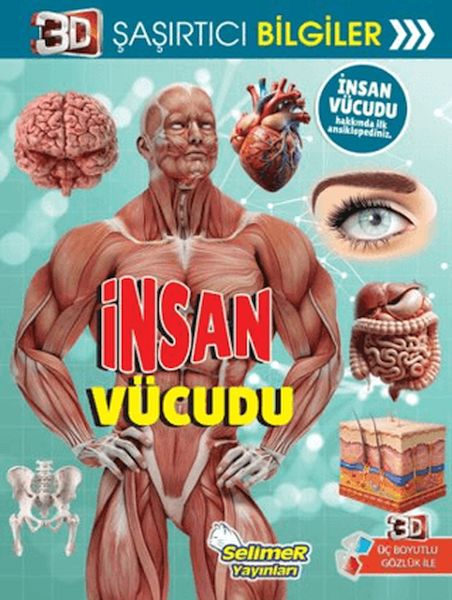 3D Şaşırtıcı Bilgiler - İnsan Vücudu-zoom-