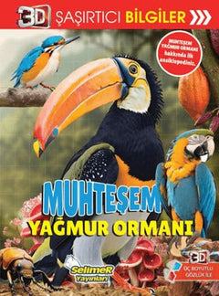 3D Şaşırtıcı Bilgiler - Muhteşem Yağmur Ormanı