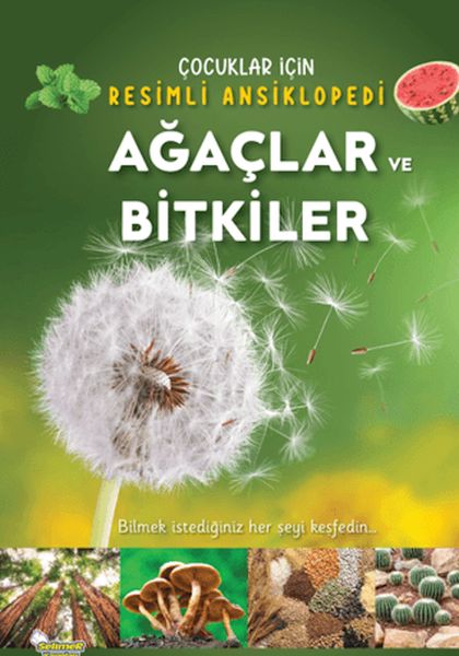 Ağaçlar ve Bitkiler-zoom-