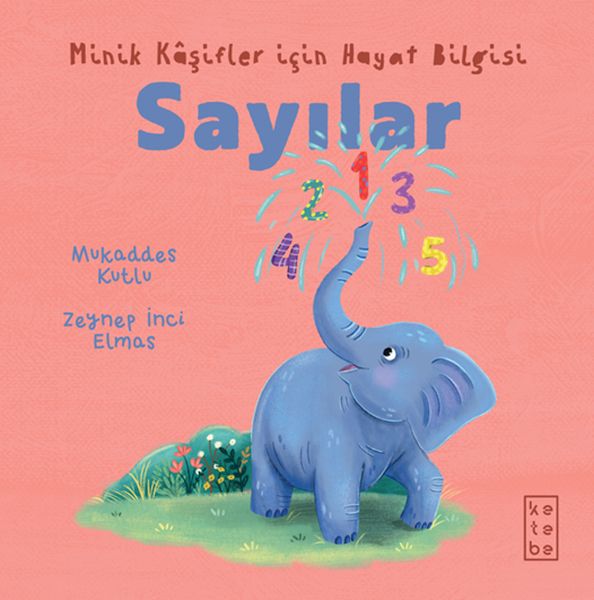 Minik Kâşifler için Hayat Bilgisi - Sayılar-zoom-