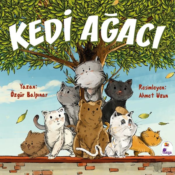 Kedi Ağacı-zoom-