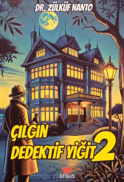 Çılgın Dedektif Yiğit 2-zoom-