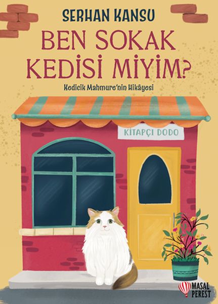 Ben Sokak Kedisi Miyim?-zoom-