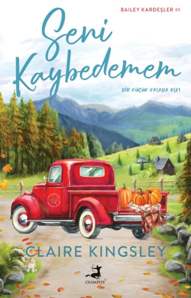 Seni Kaybedemem-zoom-