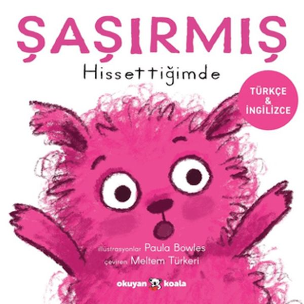 Şaşırmış Hissettiğimde-zoom-