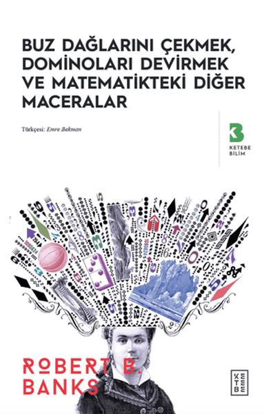 Buz Dağlarını Çekmek, Düşen Dominolar ve Diğer Uygulamalı Matematik Maceraları-zoom-