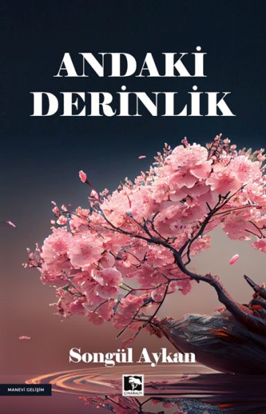 Andaki Derinlik-zoom-