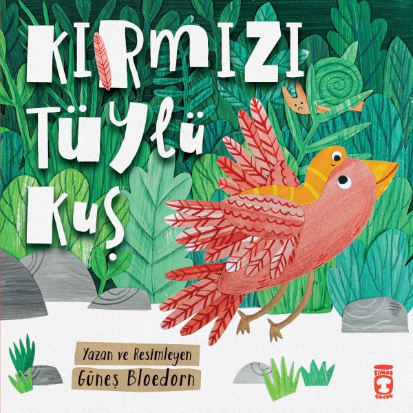 Kırmızı Tüylü Kuş-zoom-