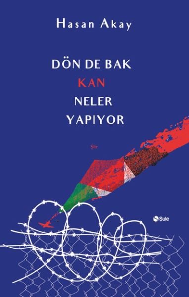 Dön De Bak Kan Neler Yapıyor-zoom-