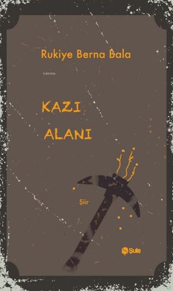Kazı Alanı-zoom-