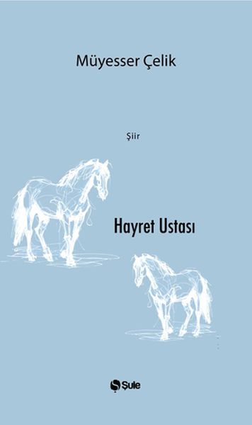 Hayret Ustası-zoom-