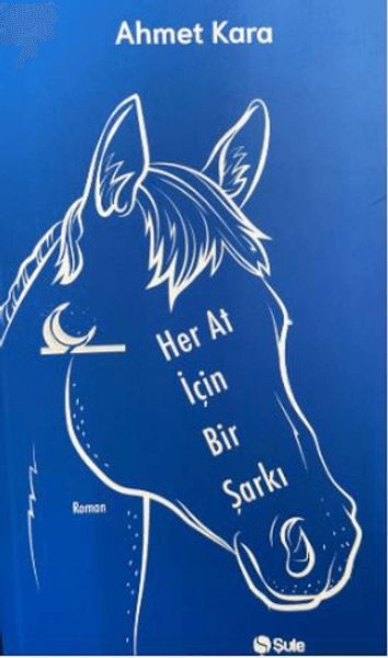 Her At İçin Bir Şarkı-zoom-