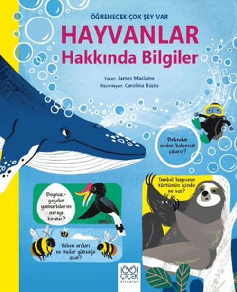 Hayvanlar Hakkında Bilgiler - Öğrenecek Çok Şey Var-zoom-