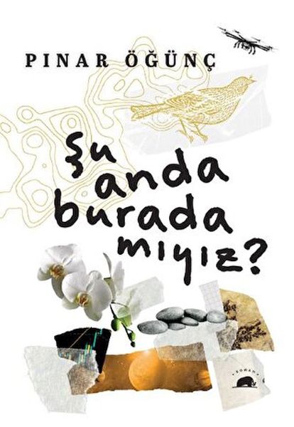 Şu Anda Burada Mıyız?-zoom-