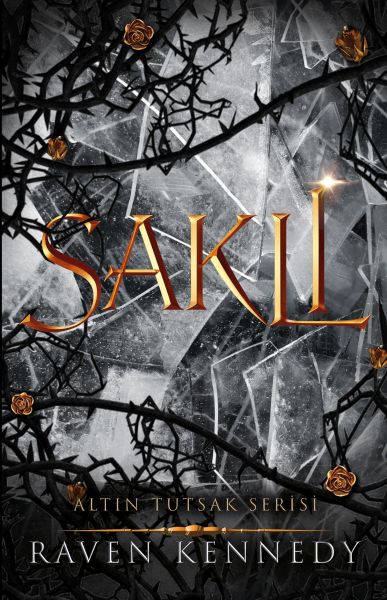 Saklı-zoom-